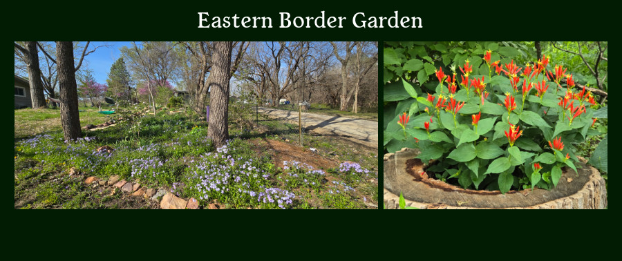 border gardens