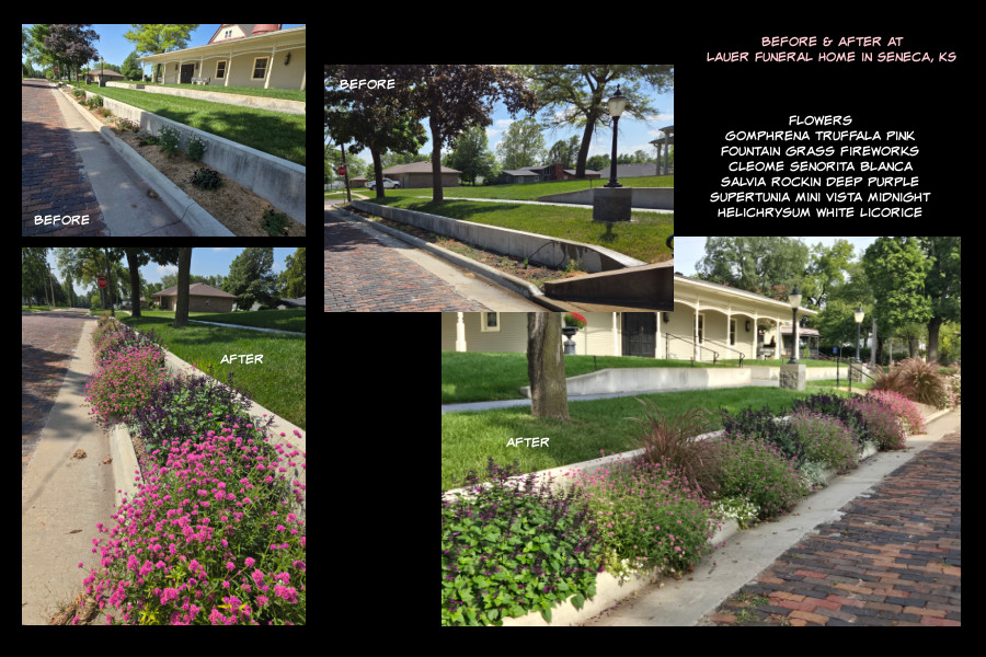 new annual plantings in 2025