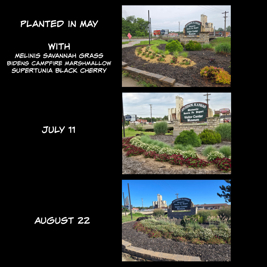 2025 annuals which struggled