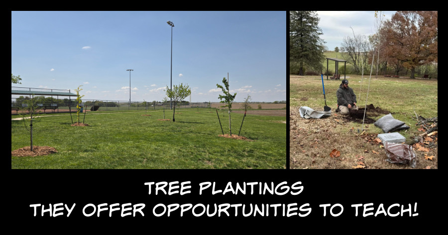 tree plantings