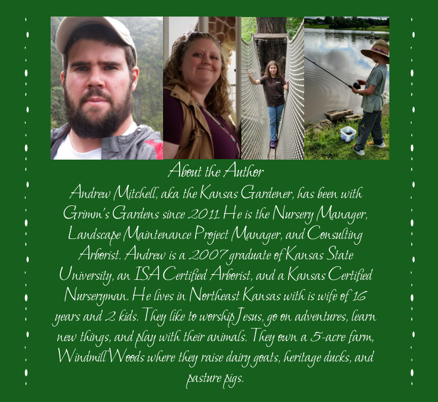 author of 2025 Year In Review