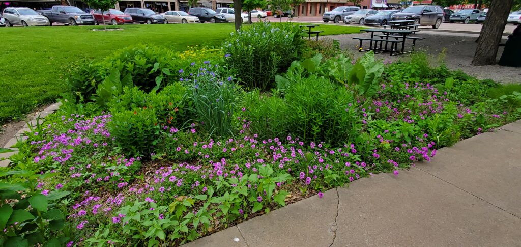 natural prairie landscape