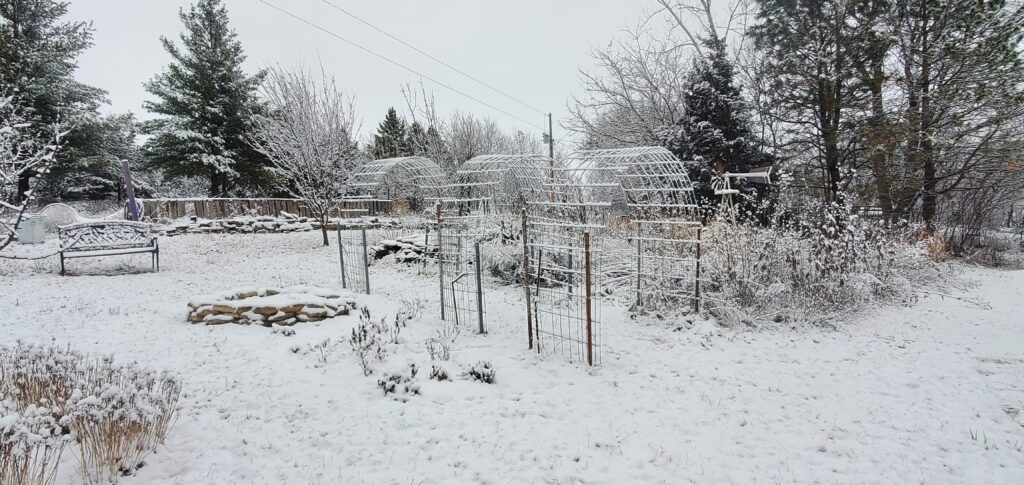 The Kansas Gardener's garden in winter