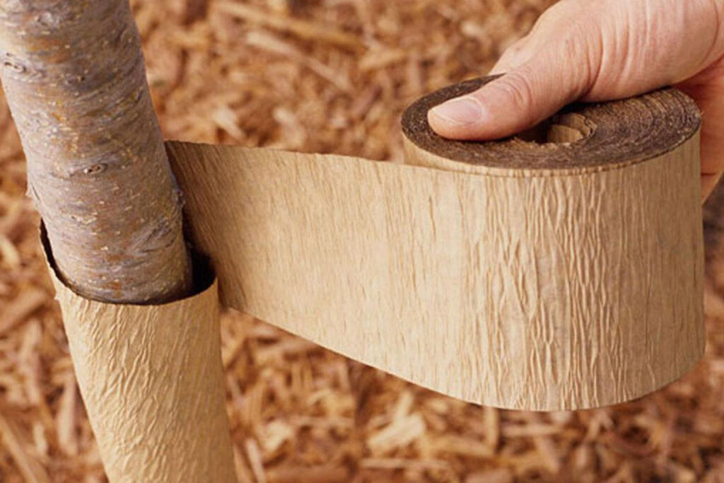 wrapping tree trunks