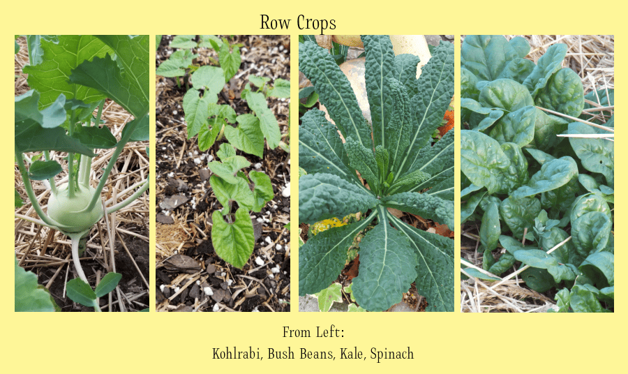 row crops