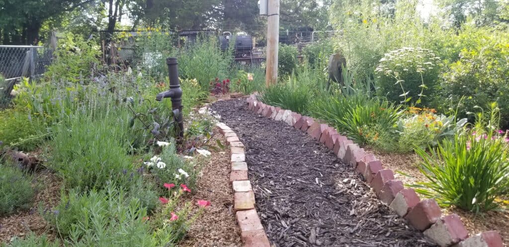 the author's Sunny Cottage Garden