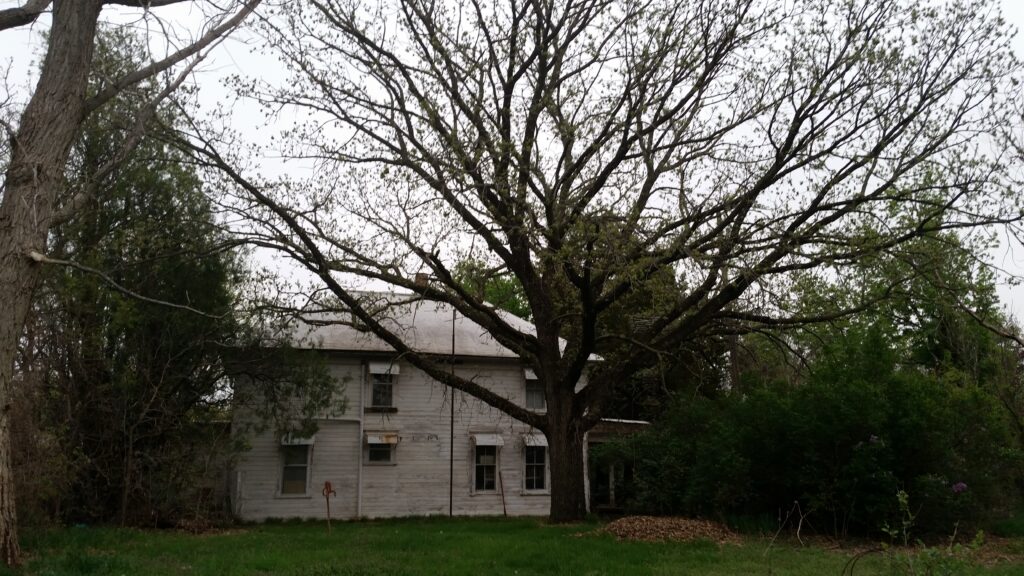 the bur oak the author loves