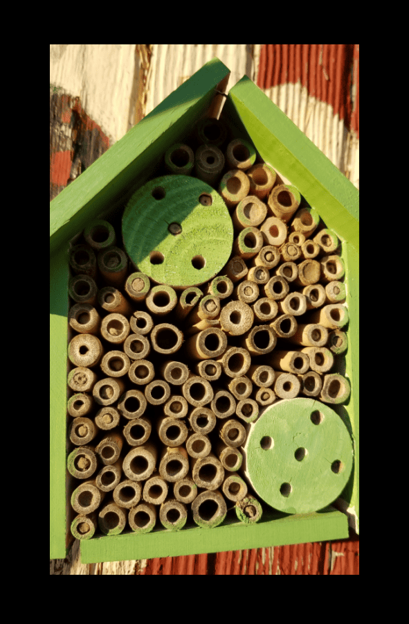 bee hotel