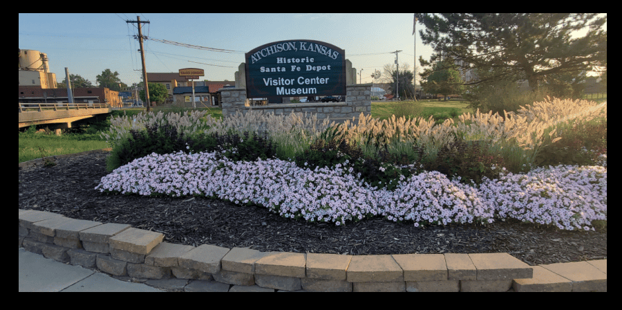 annual color in 2023