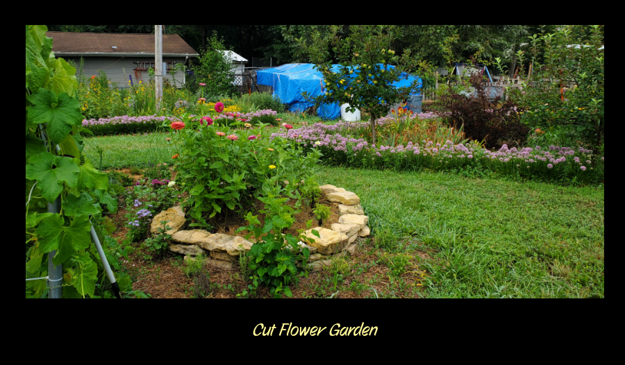 cut flower garden
