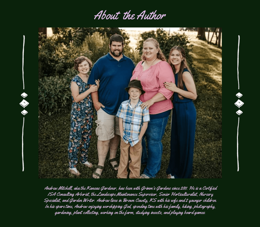 author of reblooming plants