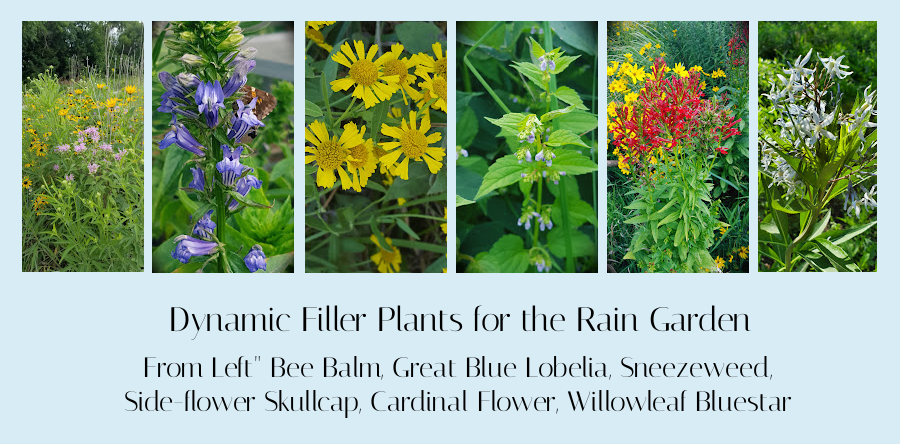 Dynamic filler plants