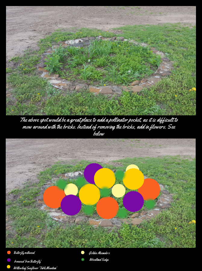 pollinator plot design