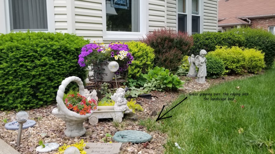 grass growing over edging