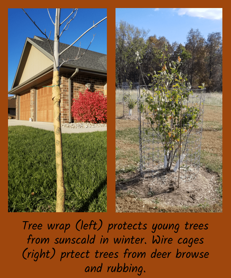 protective coverings for bark