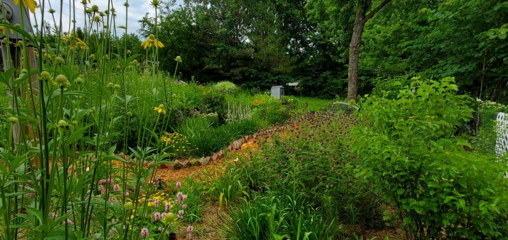 sunny cottage garden tour