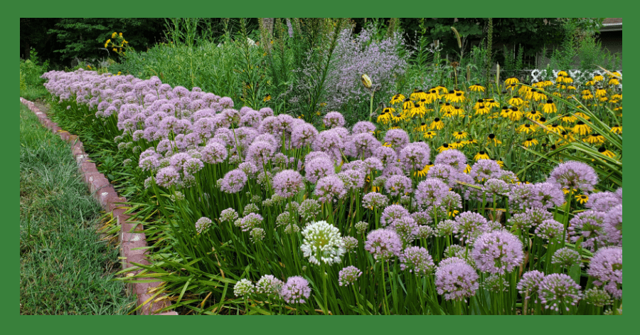 perennial review 2022