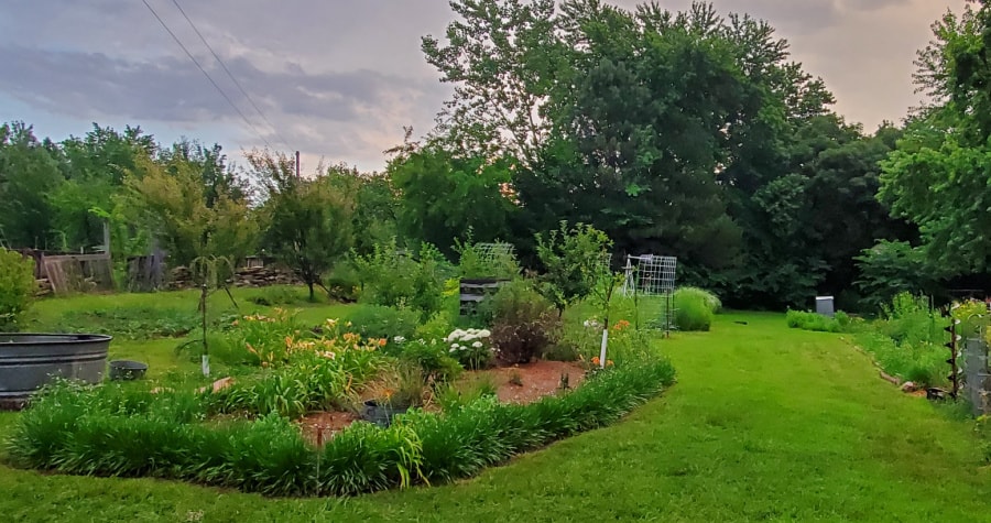natural edge and plant borders