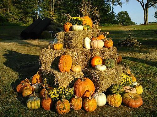 autumn display materials