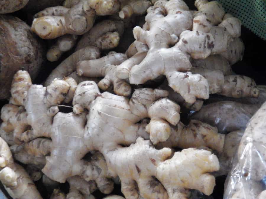 ginger root