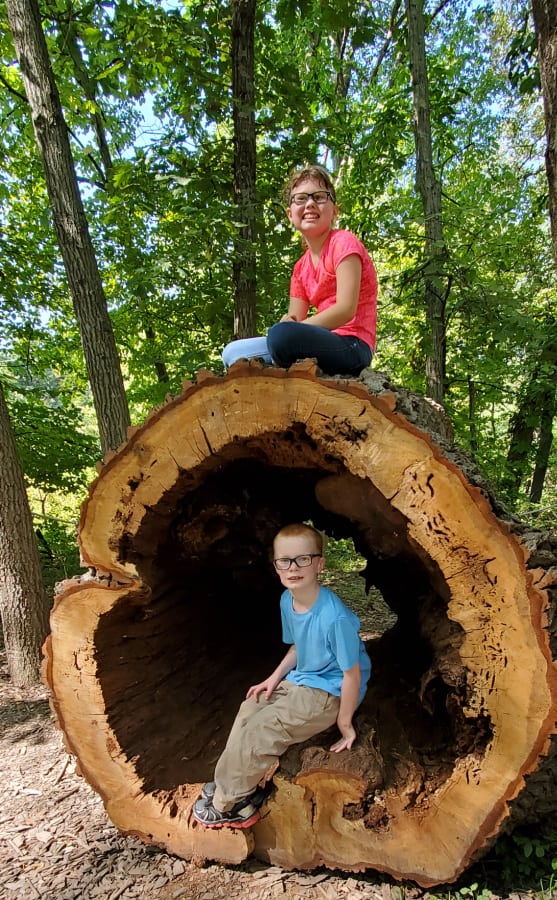 tree adventure at arbor day farm
