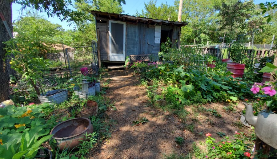 goat shed garden