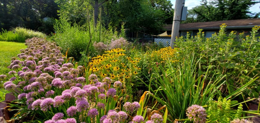 the Sunny Cottage Garden