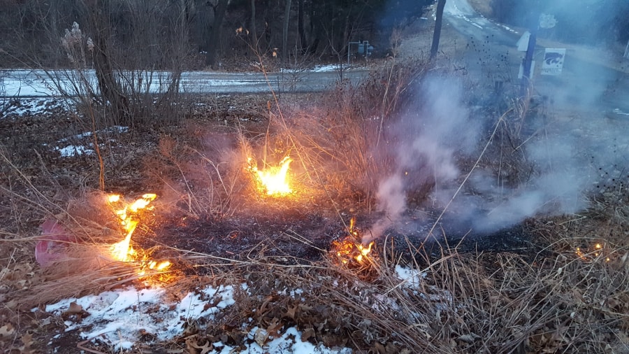 burning off the meadow garden