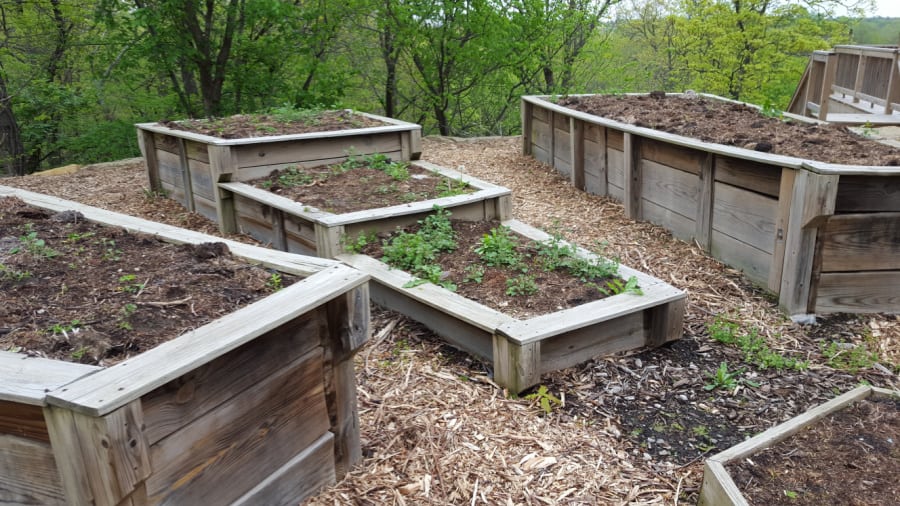 raised beds