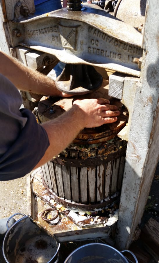 apple cider making