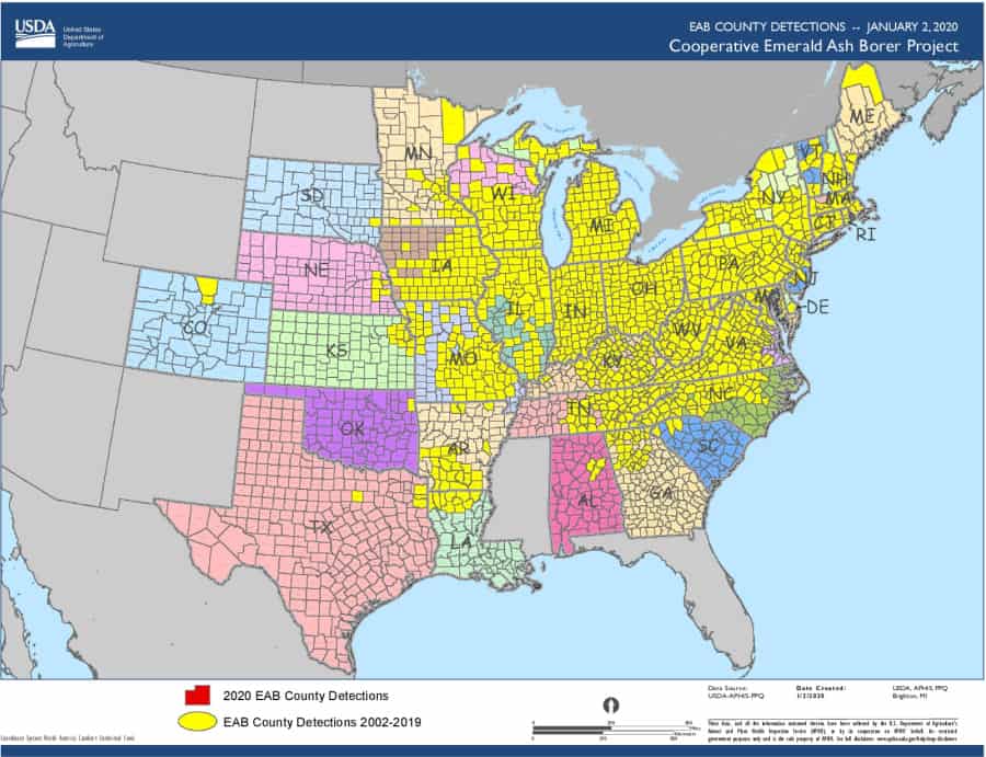 county locations of emerald ash borer