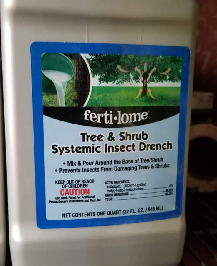 insecticide drench to control EAB