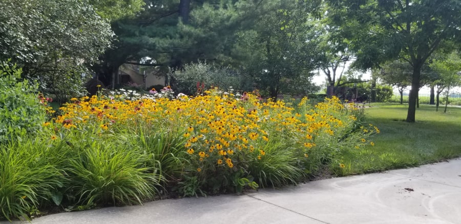 landscapes for flying flowers