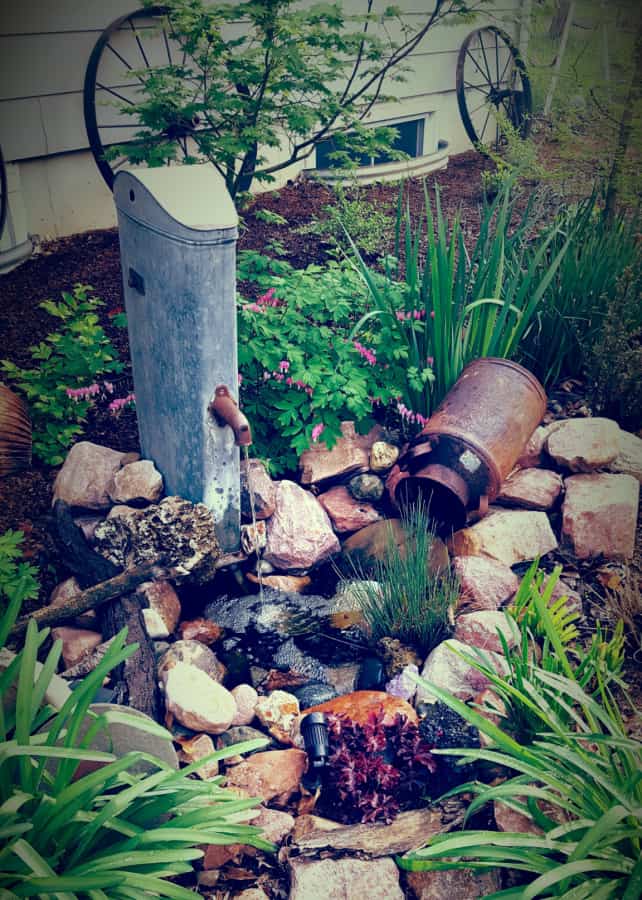 old-fashioned bleeding heart