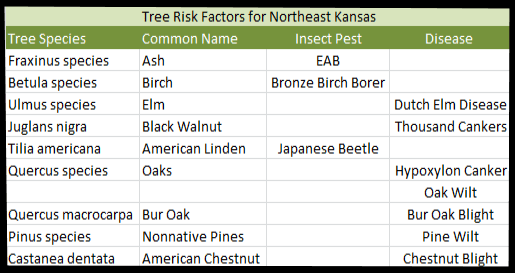 Tree canopy risk factors