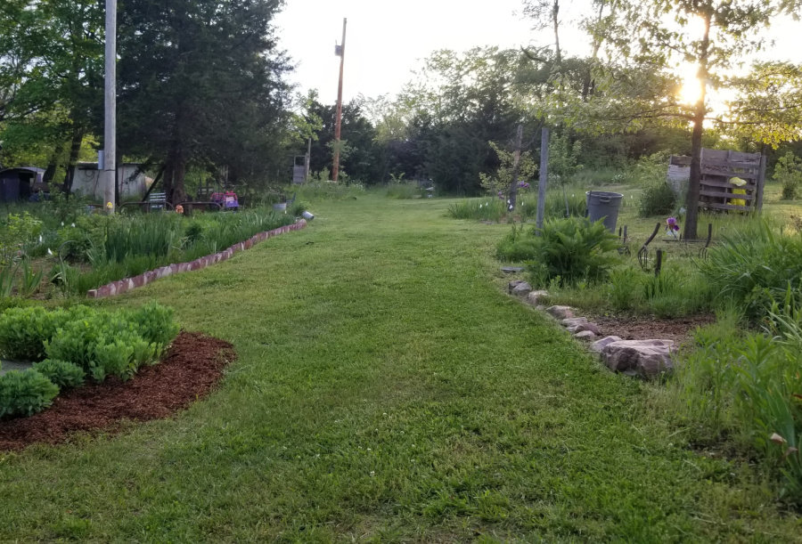 diverse organic lawn care