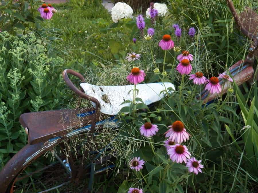 rustic elements in the cottage garden