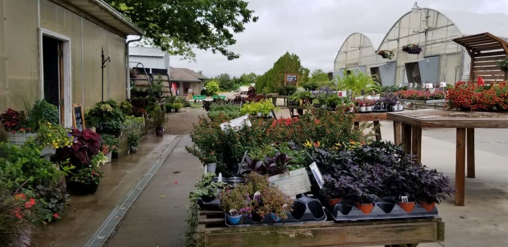 Grimm's Gardens garden center