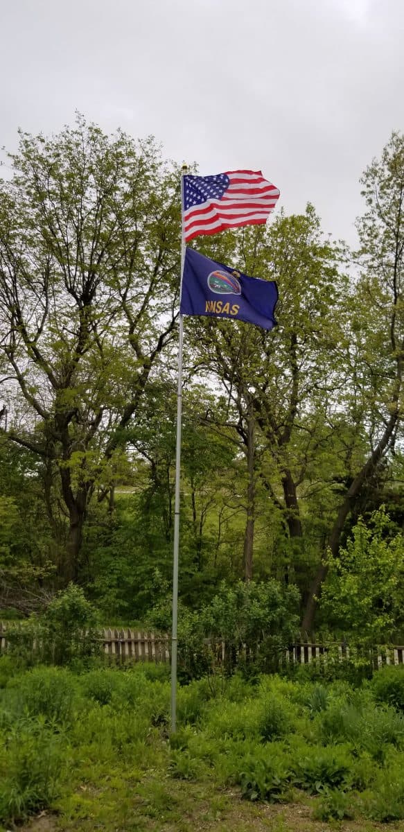 flag pole in a garden
