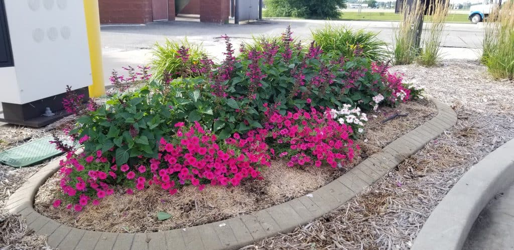 Annual Planting at McDonalds Hiawatha