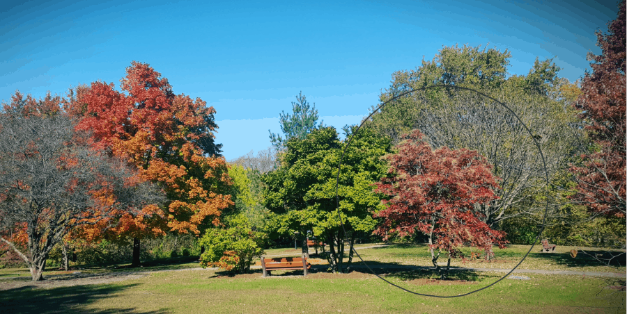 International Forest of Friendship in Atchison, KS