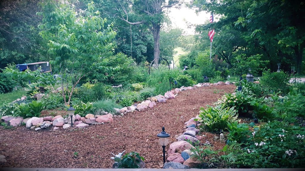 biodiverse landscape