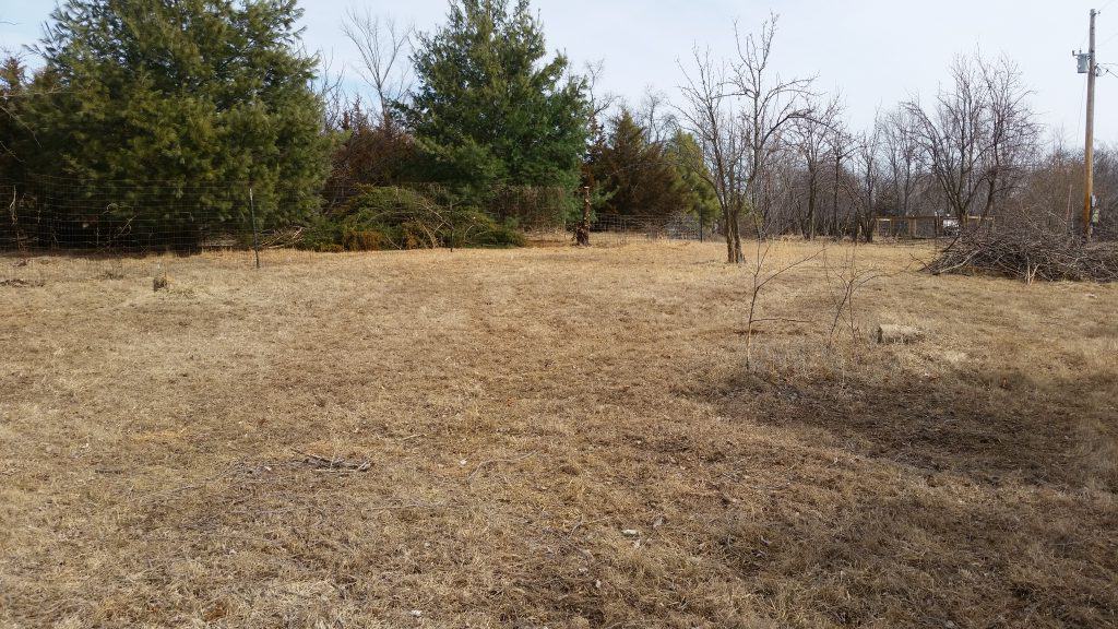 An open area in full sun