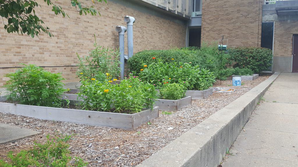 permanent raised beds