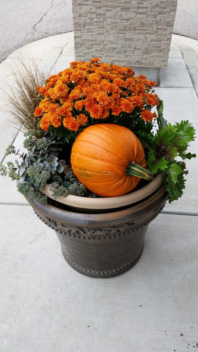 autumn container