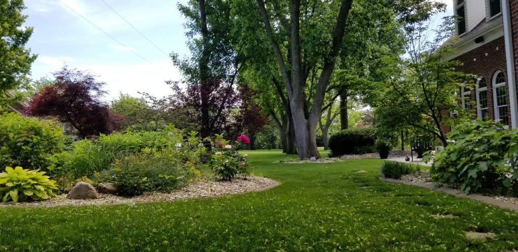 A relaxing landscape