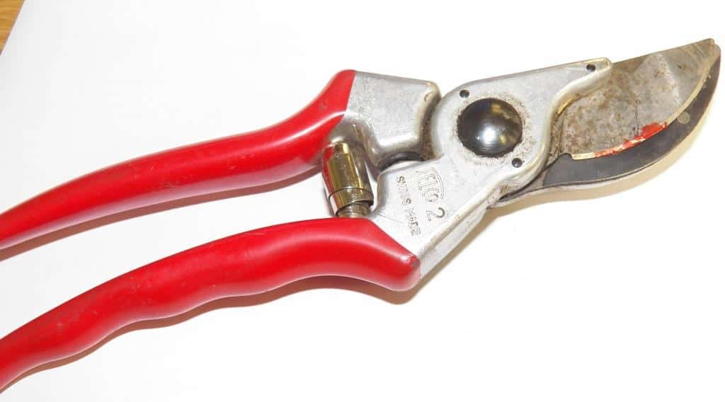 Felco pruners