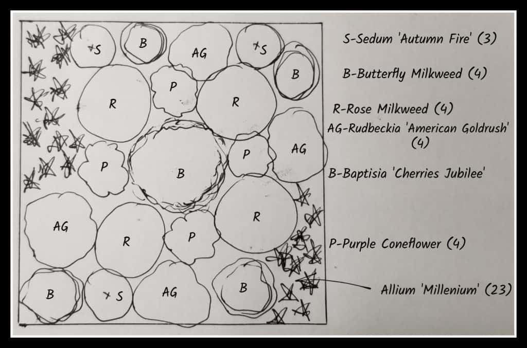 Simple design for butterfly garden