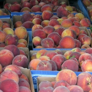 So many peaches!