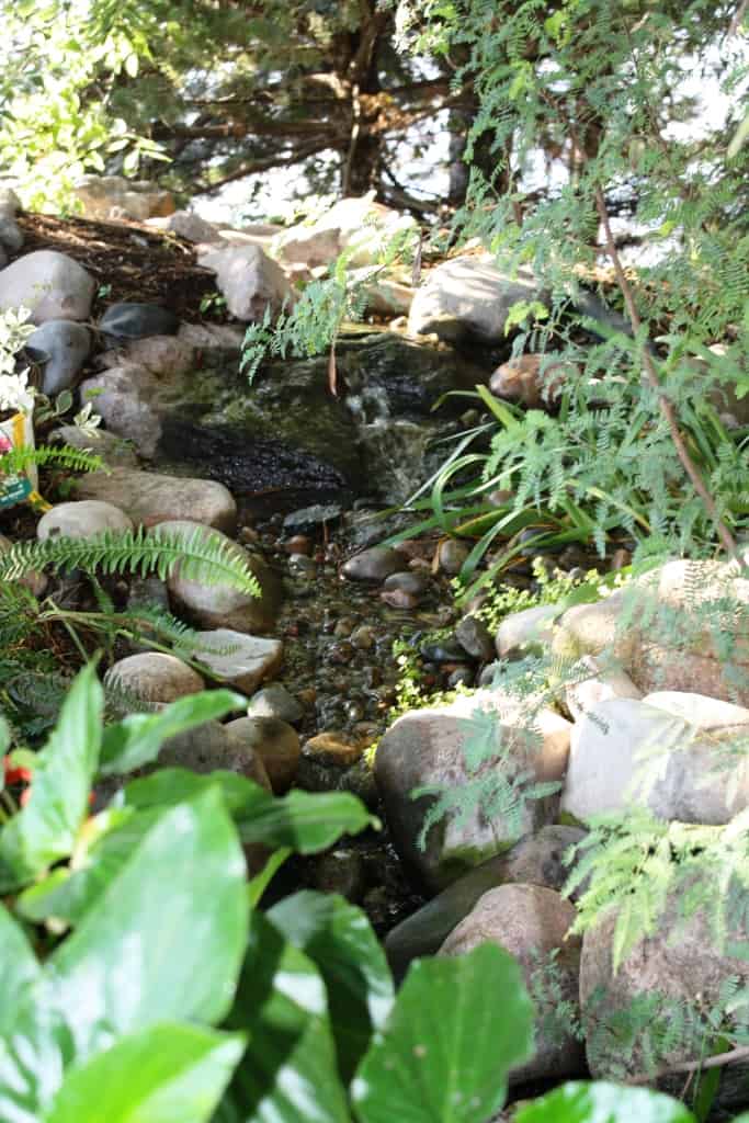 Natural water feature